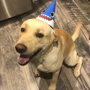 Meet your Posher, Jhoanna